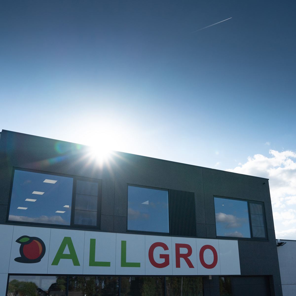Allgro